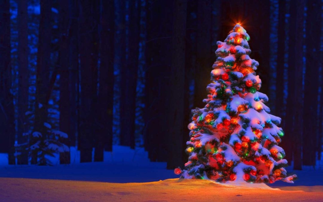 The origins of the Christmas Tree